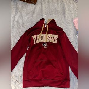 Florida Stats Hoodie